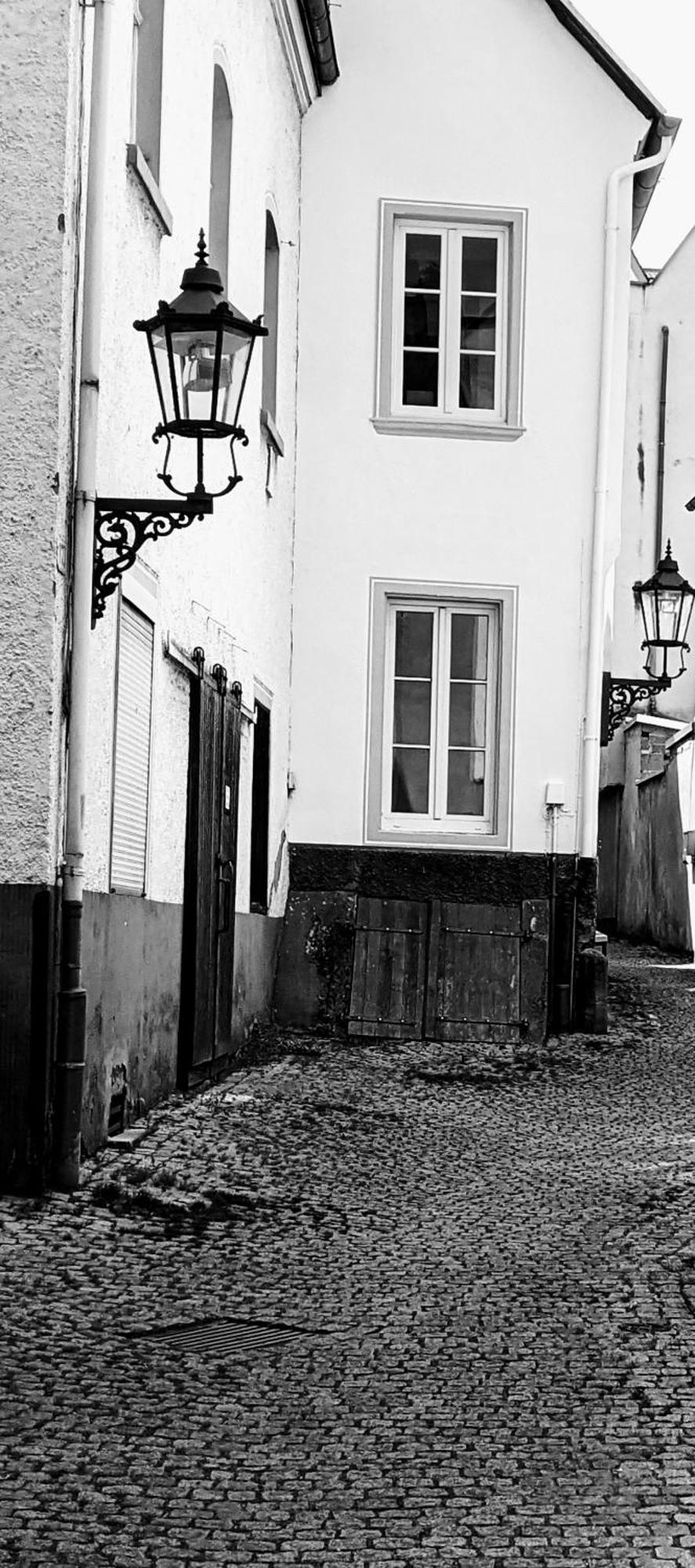 III Rhein Charme Studios Gemuetlichkeit, Style & Geschichte Bei Katrin Und Familie III Кобленц Екстериор снимка